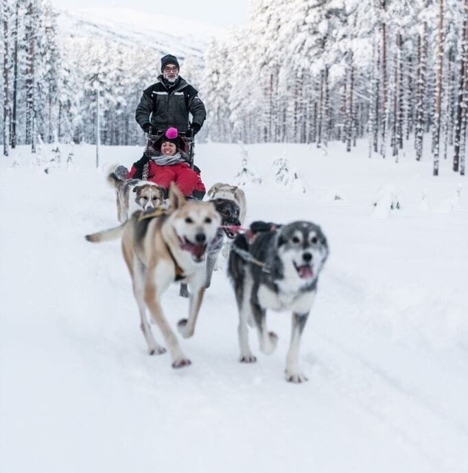 Senja Husky Adventure