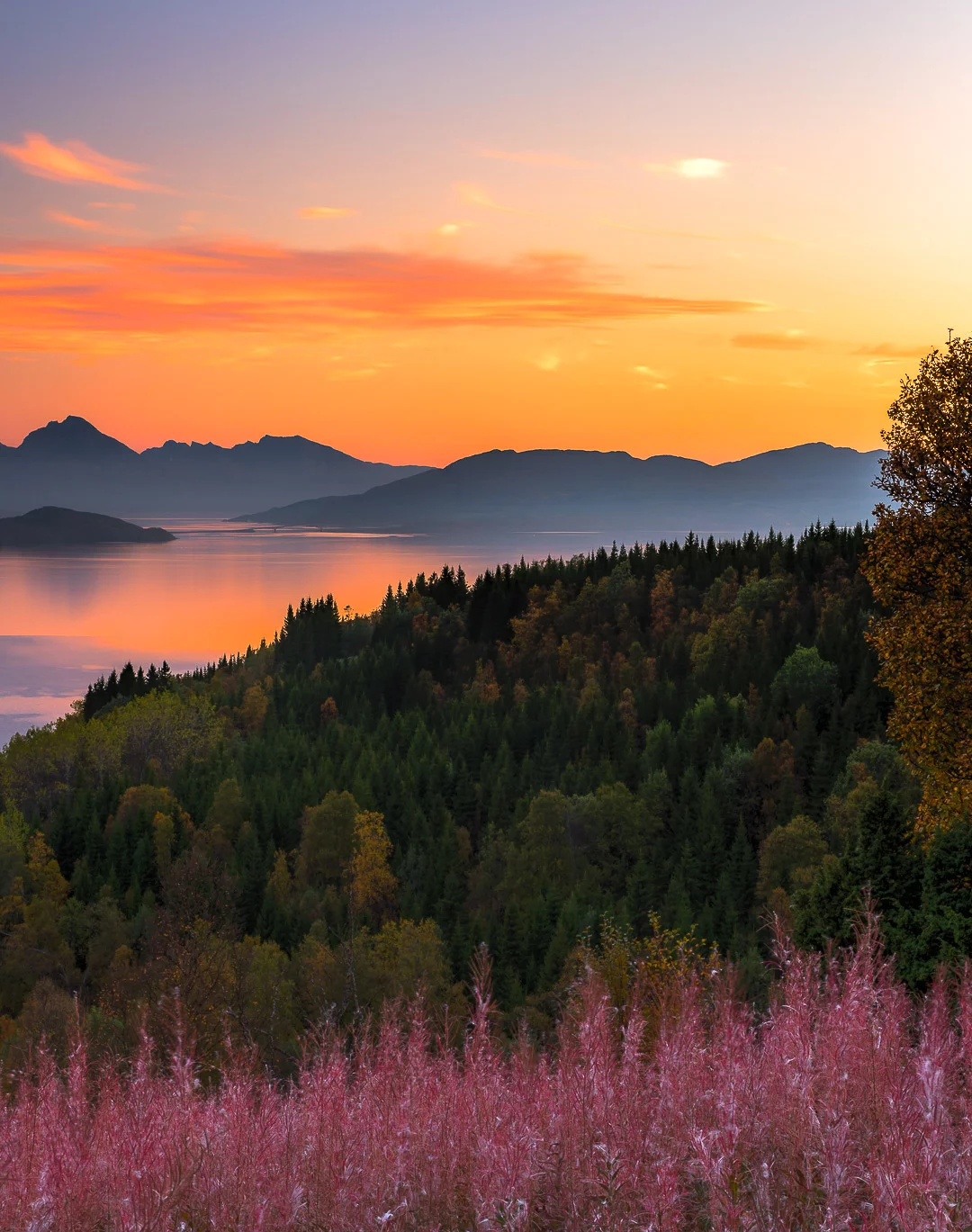 Top things to do on Senja