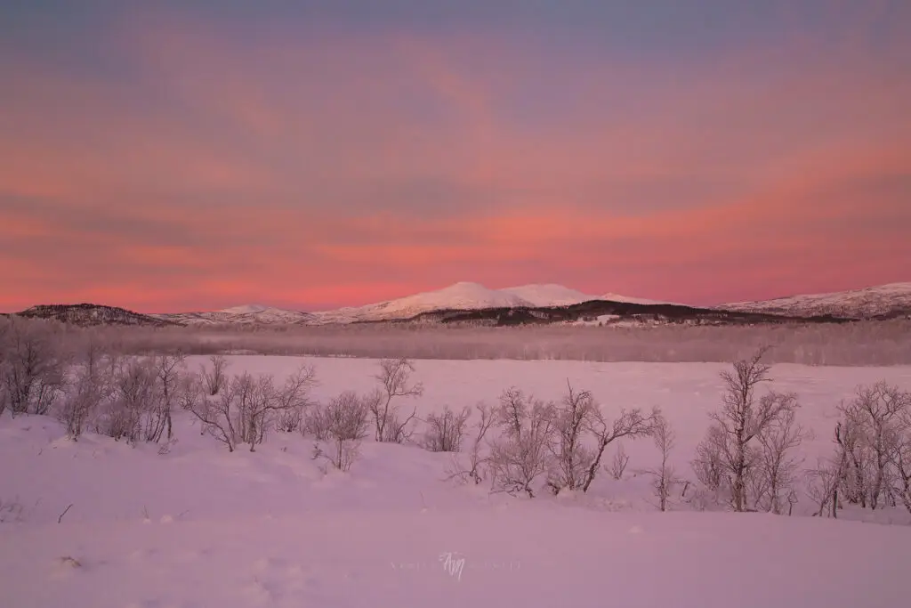The return of polar nights over Senja