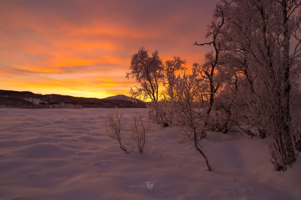 The return of polar nights over Senja