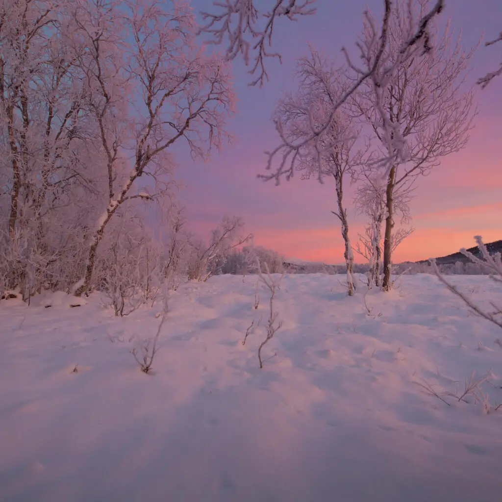 The return of polar nights over Senja