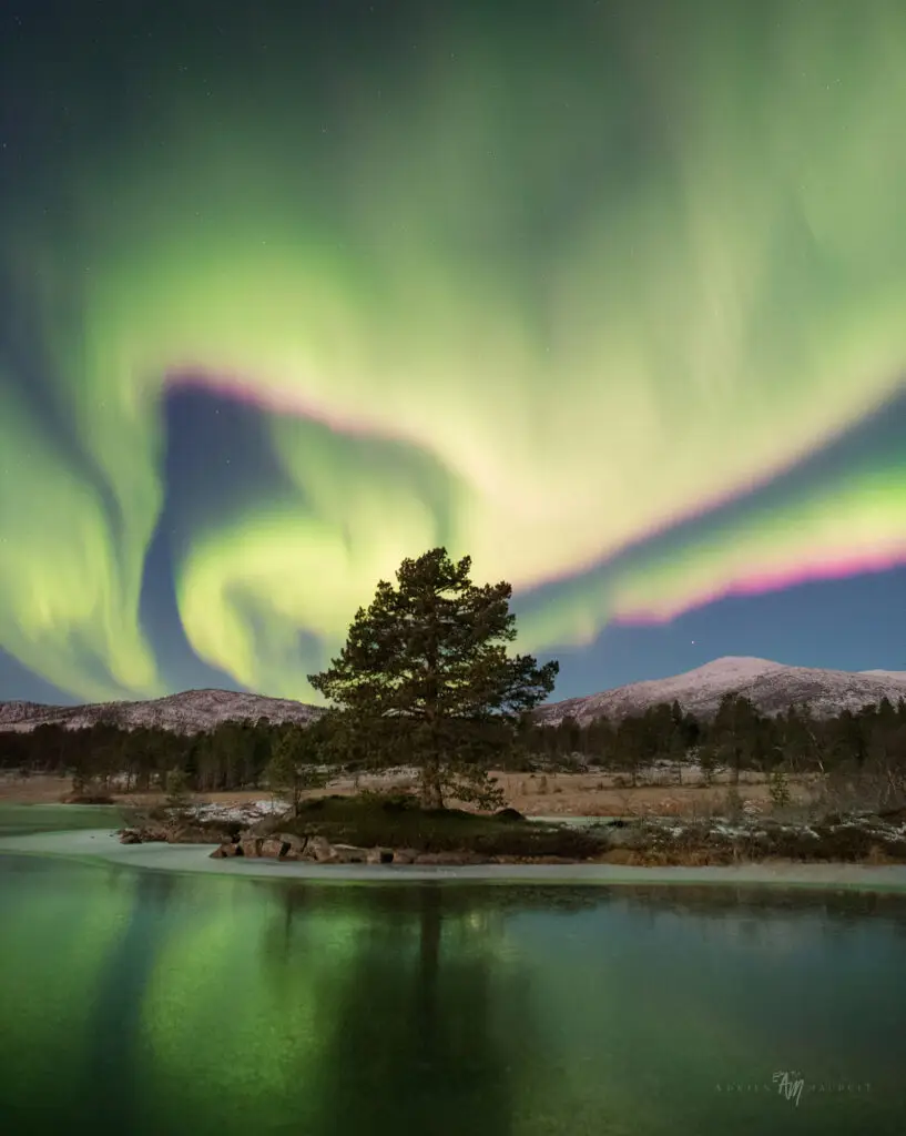 The return of polar nights over Senja