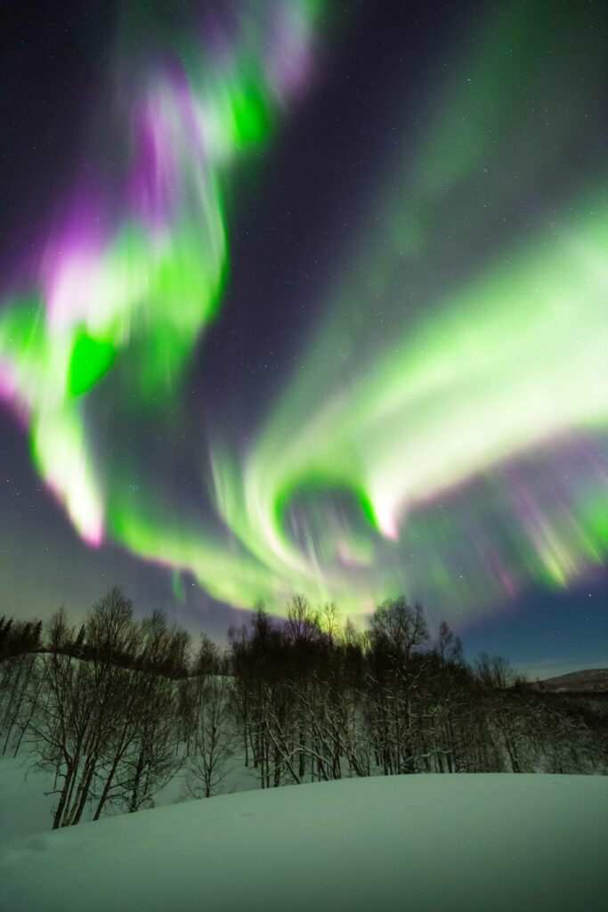 Iceland vs Norway