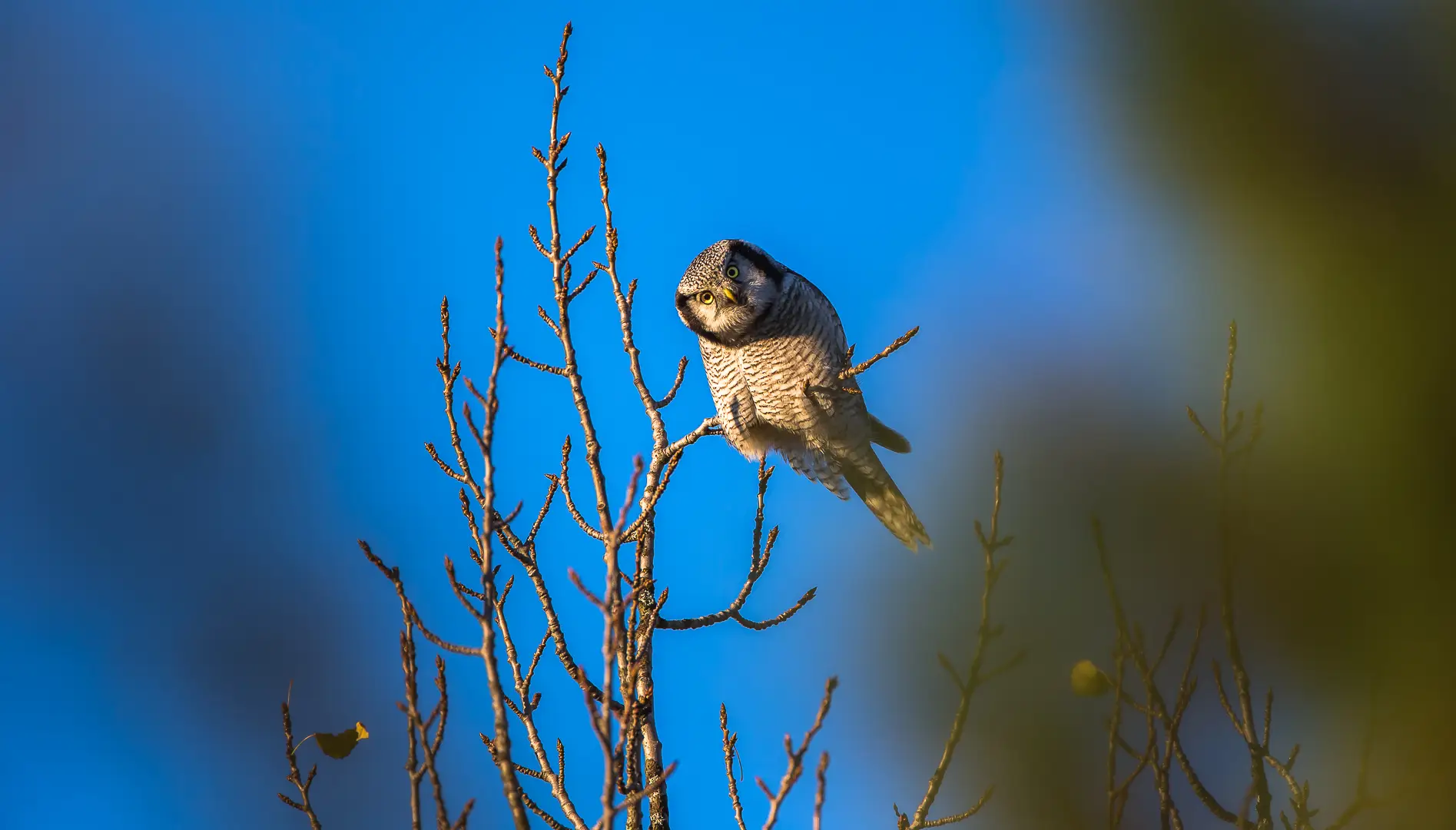 Light and weather for photography on Senja