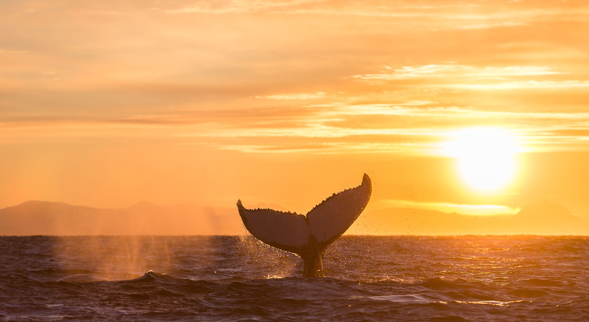 Slow observation and photography on Senja