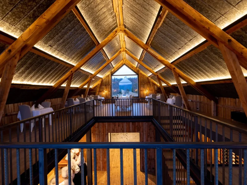 986A0404-1-1-1.jpeg 986A0404-1-1-1.jpeg